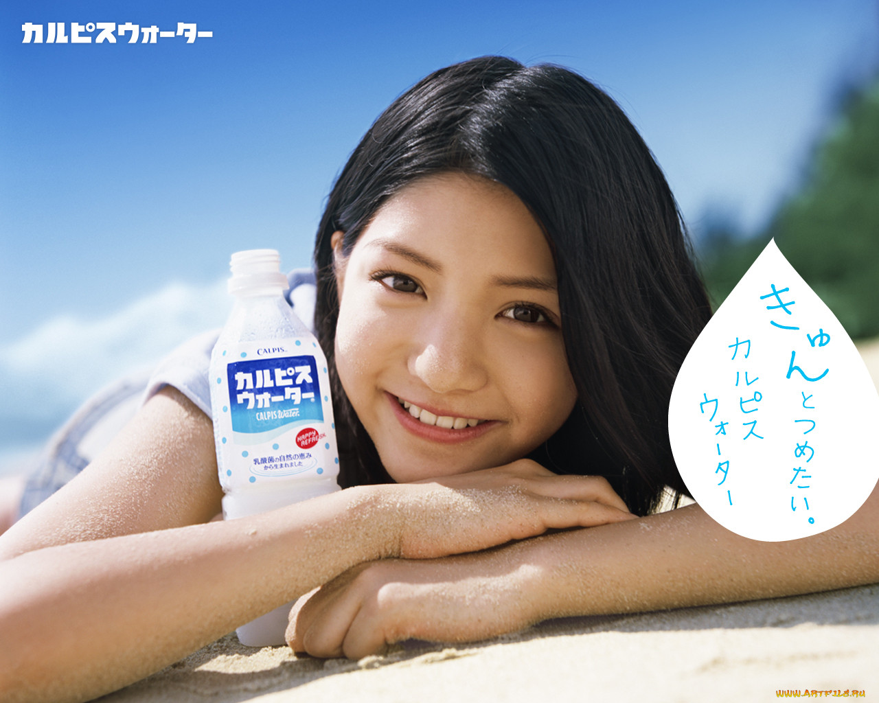 calpis, 